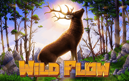 SGWildFlow en
