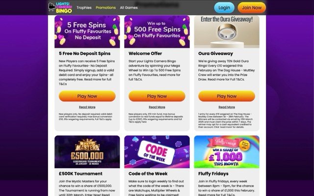 Light Camera Bingo Promotion