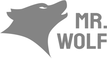 mr wold slot logo
